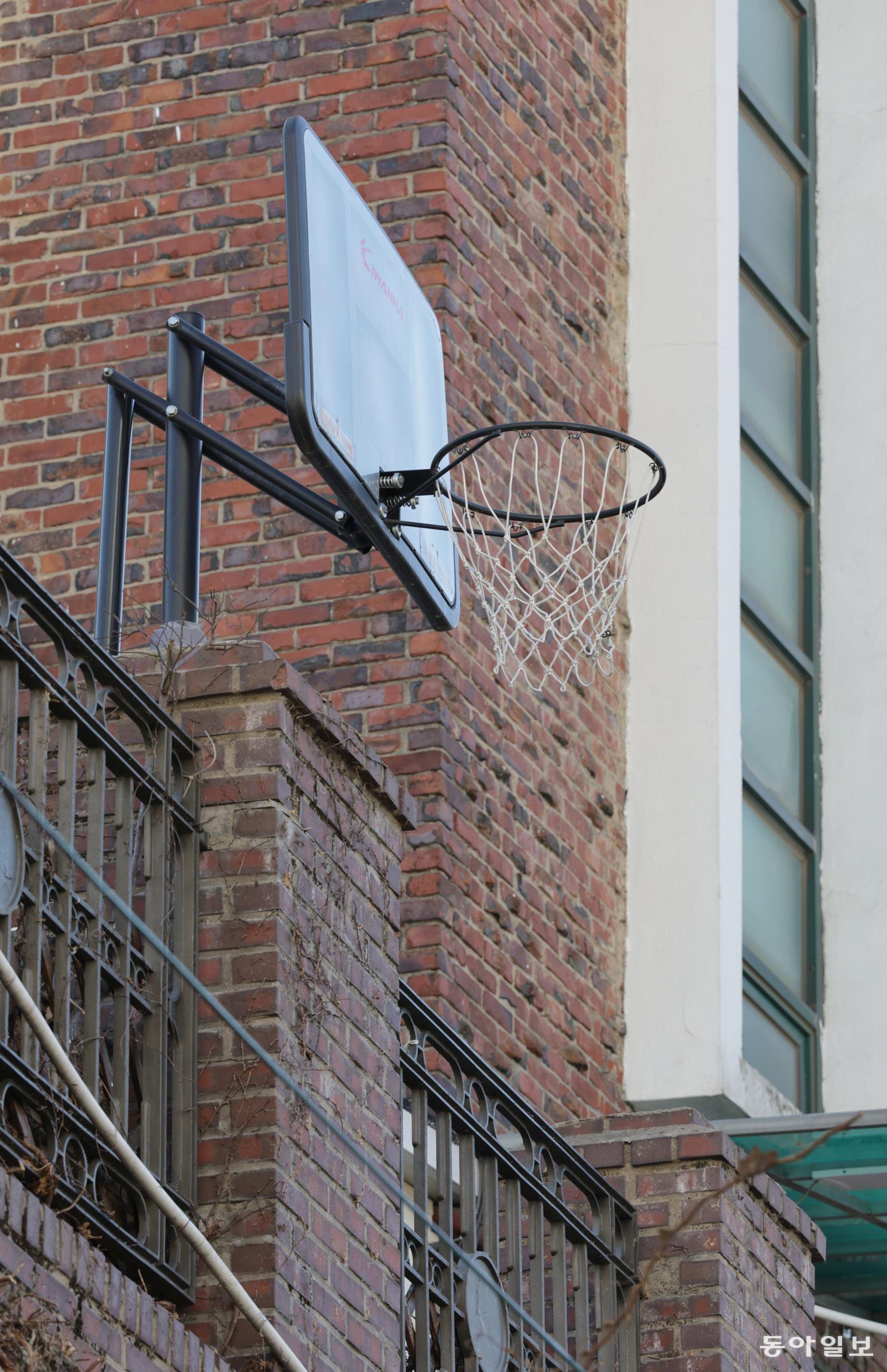 [고양이 눈]너와 함께라면