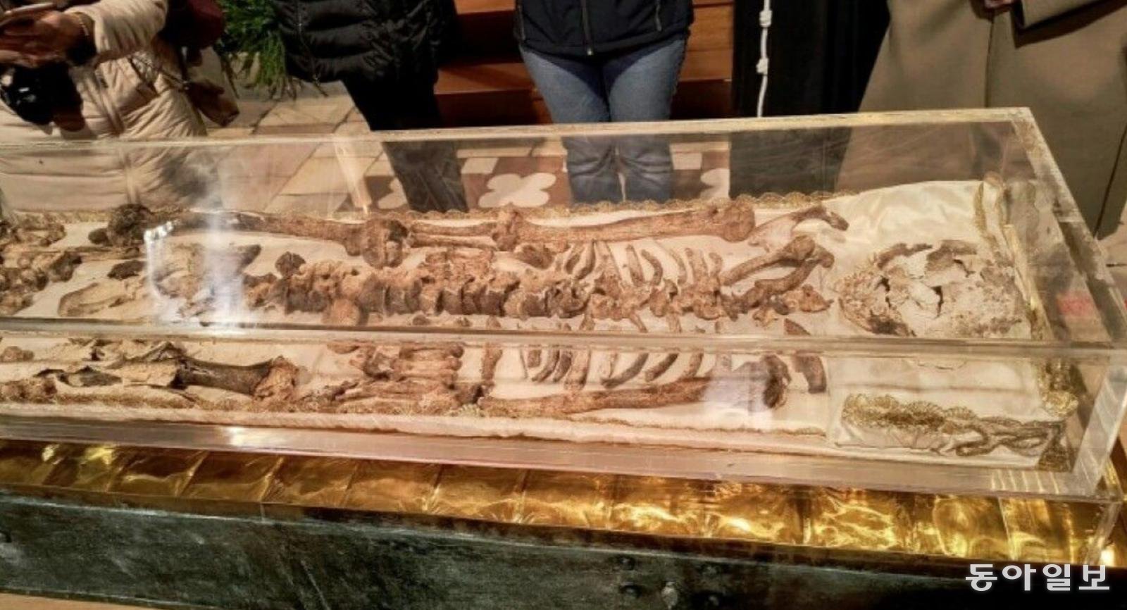 ‘가난한 자들의 성자’ 성 프란치스코 유해 공개