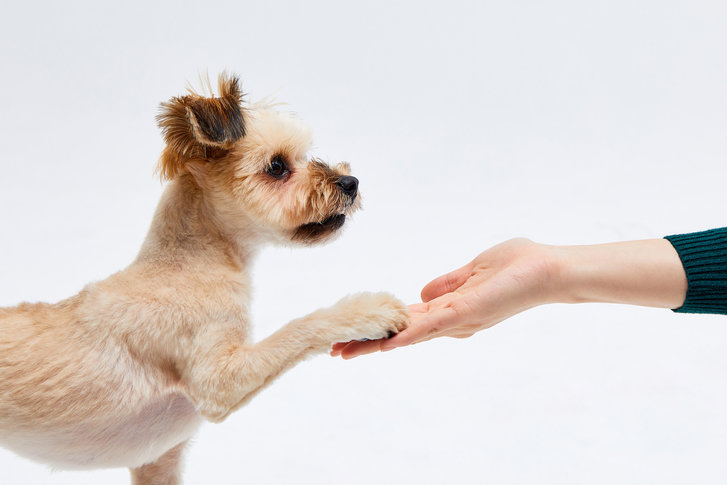 사진=게티이미지뱅크.