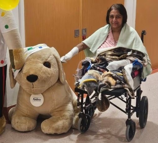 의료진은 만짓 상하 씨의 몸에 난 작은 상처를 애완견이 핥은 후 치명적인 패혈증에 감염된 것으로 추정했다. 그녀는 결국 양손과 양발을 모두 잃었다.