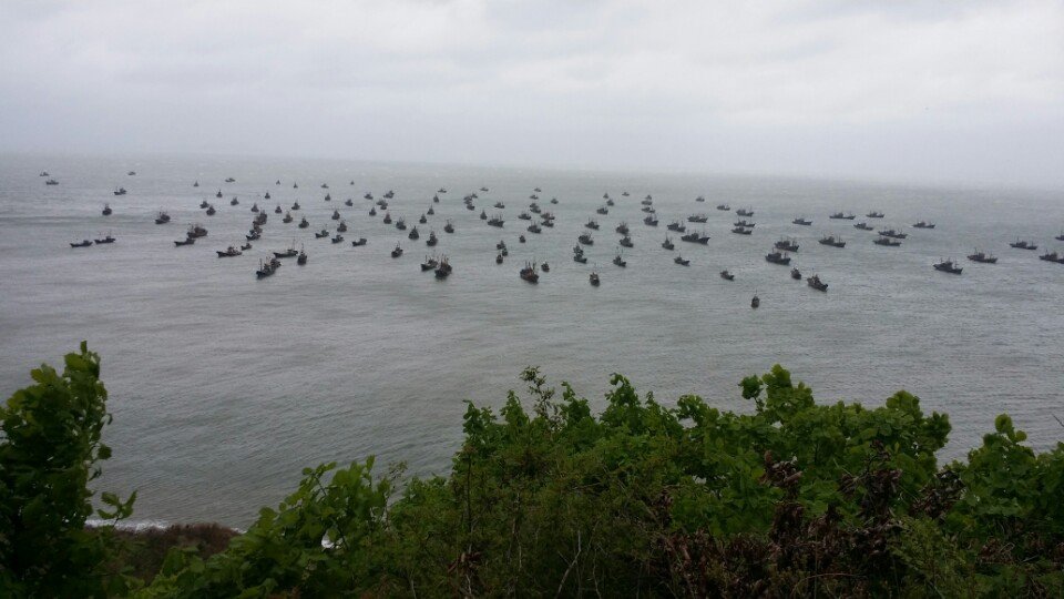 서해 NLL ‘단속 무풍지대’…中 ‘쌍끌이’에 씨마르는 연평 꽃게 황금어장