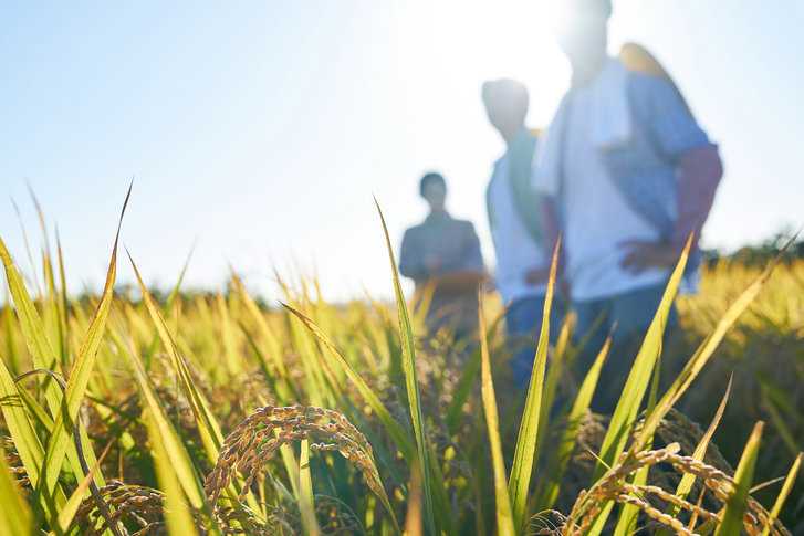 “농촌살이 해보니 어때요?”…10가구 중 7가구 “만족”