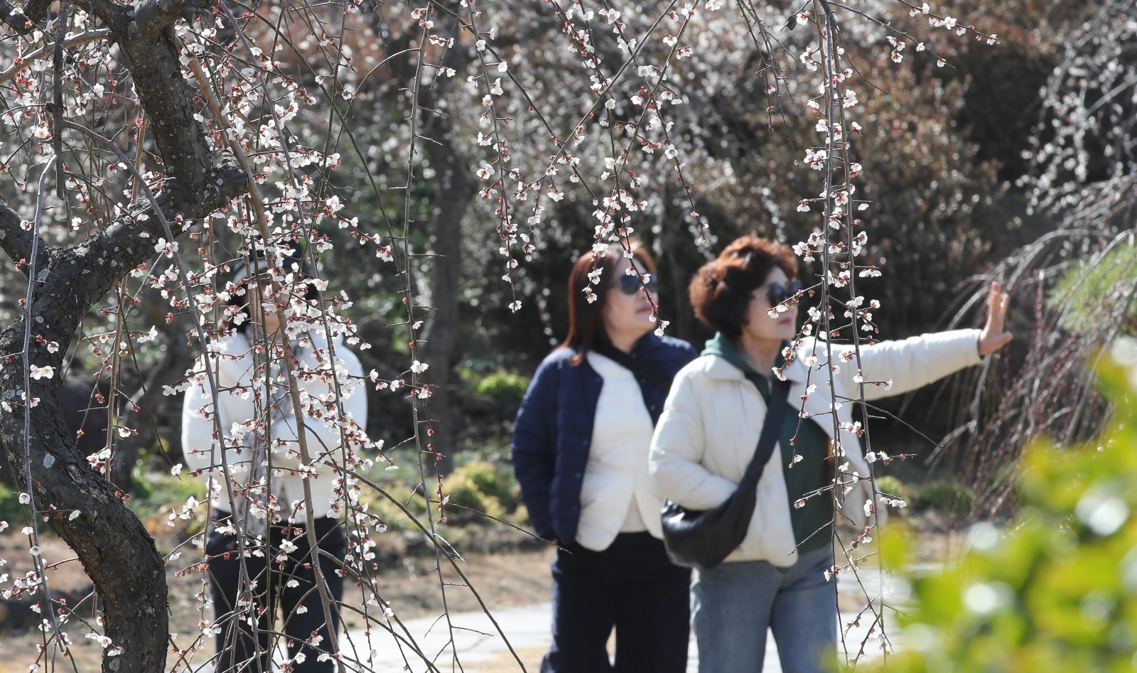 내일 낮 최고 15도 포근…아침 최저 영하 4도 ‘일교차’ 유의