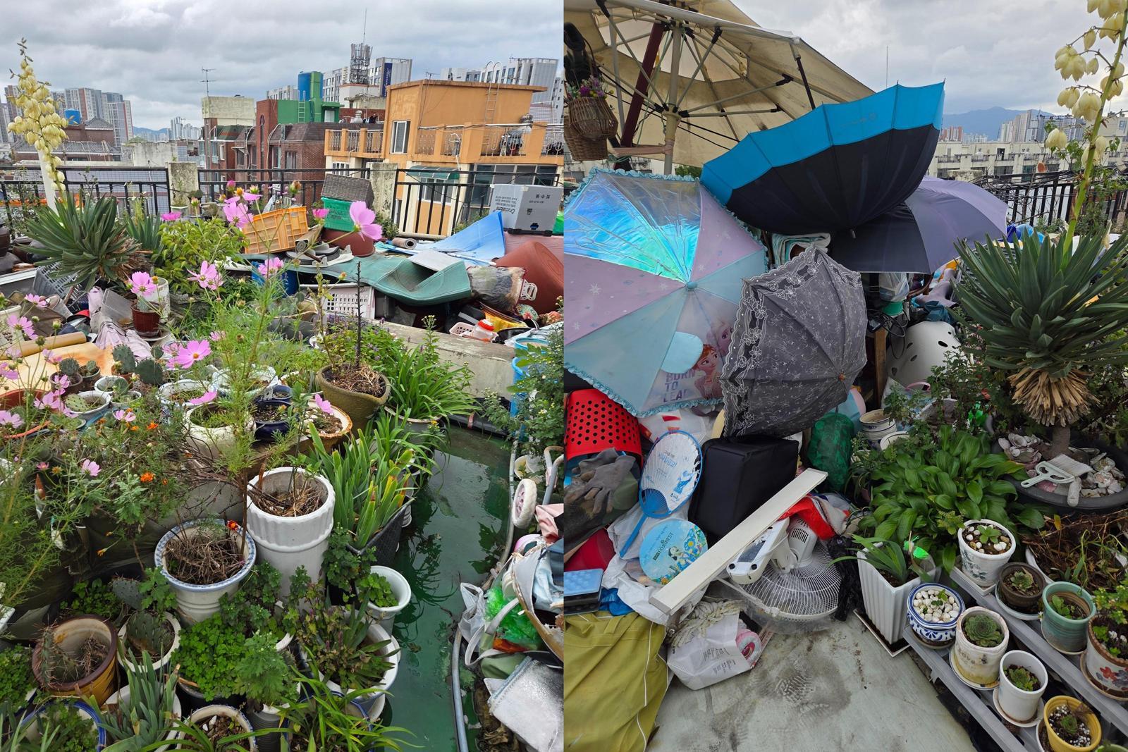 빌라 옥상이 개인 창고?…잡동사니 산더미 “환장할 노릇” [e글e글]