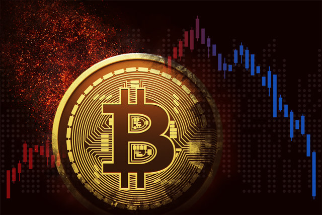 [단독]코인 20억 털리고도 4년간 모른 강남경찰서…‘보관 지침’도 안지켰다