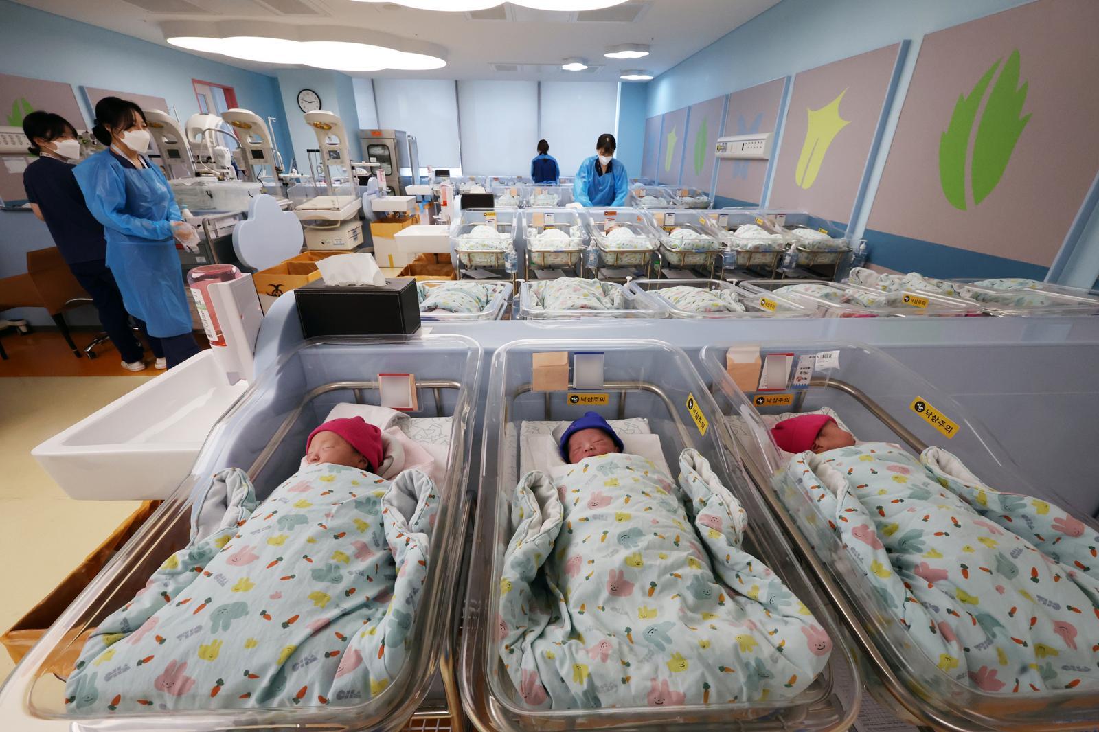 경기 고양시 일산차병원 신생아실. 뉴스1