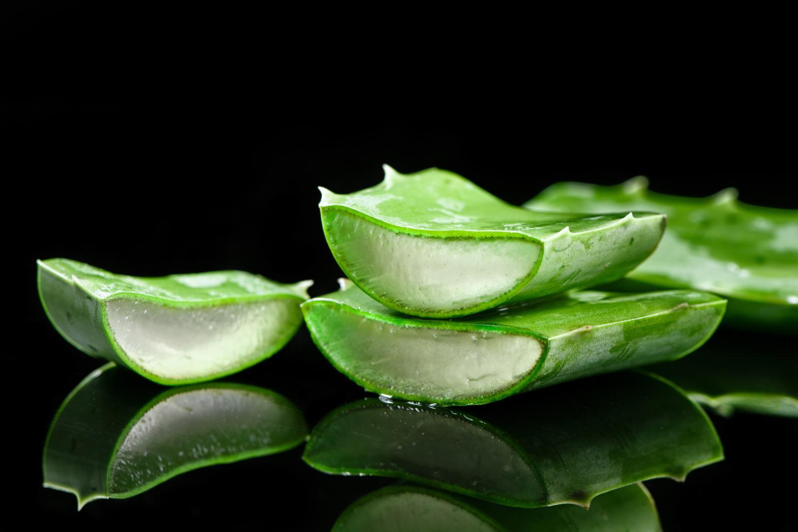 알로에 베라 속 천연 성분이 치매의 주요 원인인 알츠하이머병 관련 뇌 효소를 억제할 가능성이 확인됐다. 게티이미지뱅크