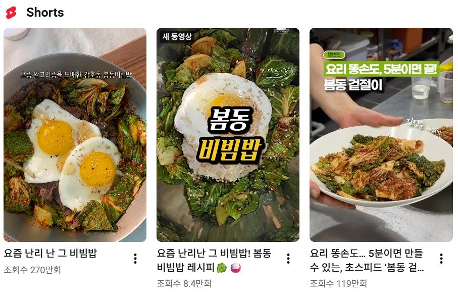유튜브 숏폼에 다양한 봄동 레시피 영상이 검색된다.(유튜브 갈무리)/사진=뉴스1