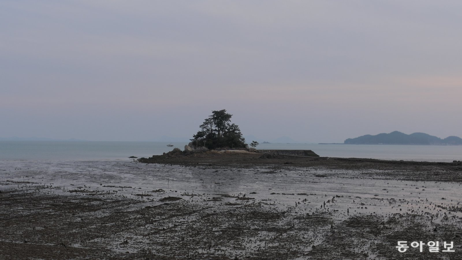 장흥 일출 명소 소등섬. 썰물 때여서 갯벌에 우뚝 서 있는 모습이 됐다.