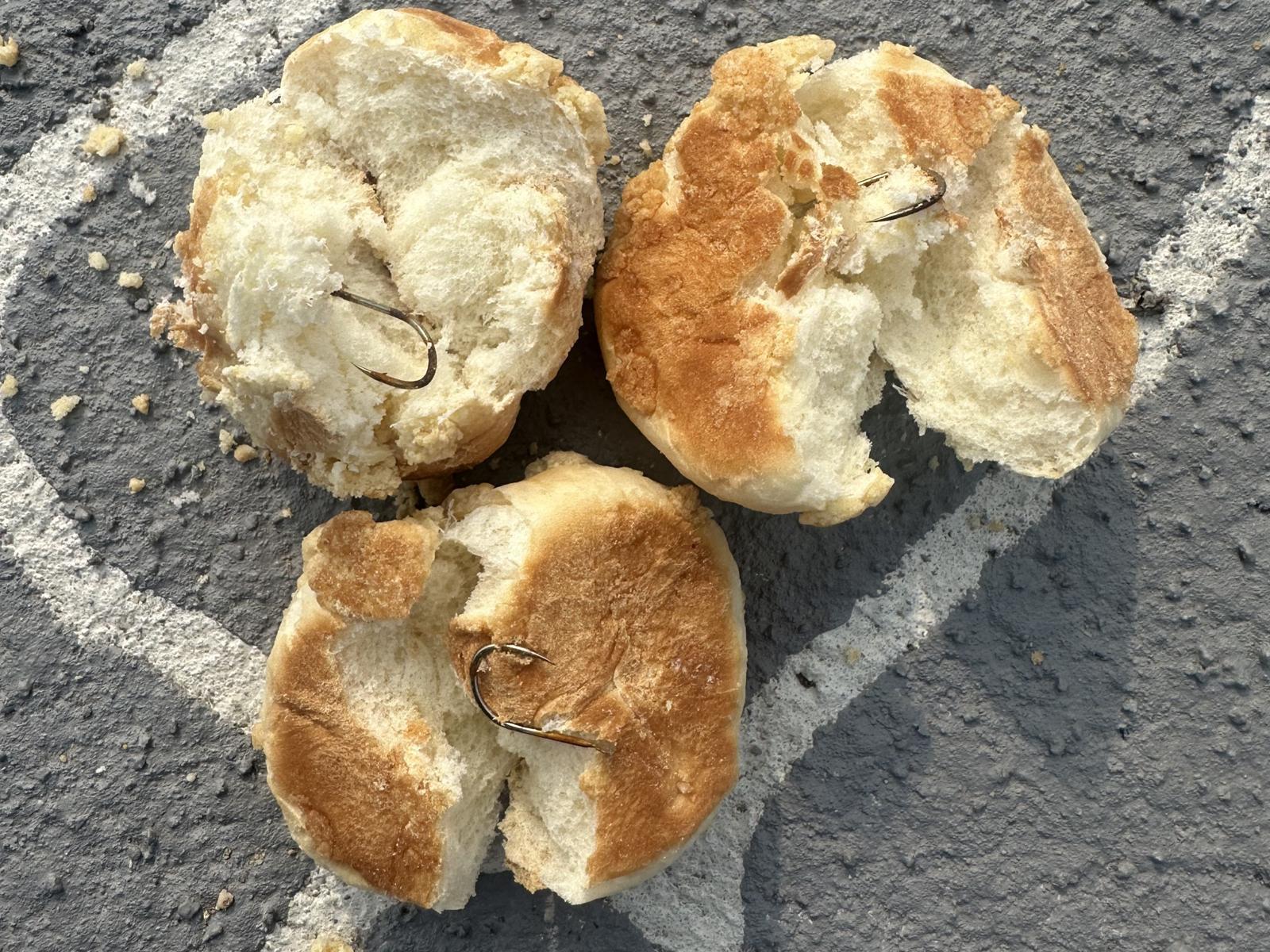 전남 나주 반려견놀이터에 살포된 10개의 빵 안에 낚싯바늘이 꽂혀 있다.SNS캡쳐