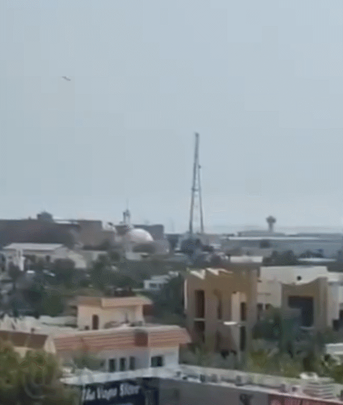 엑스(X) 영상 갈무리