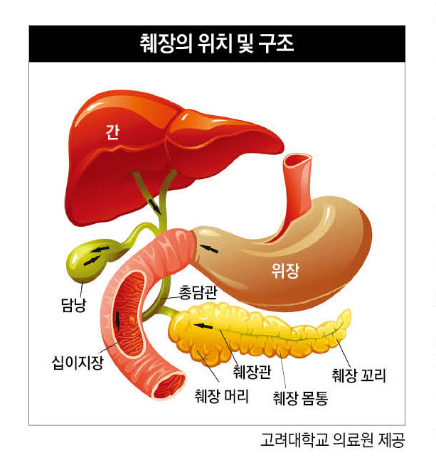 고려대학교 의료원 제공