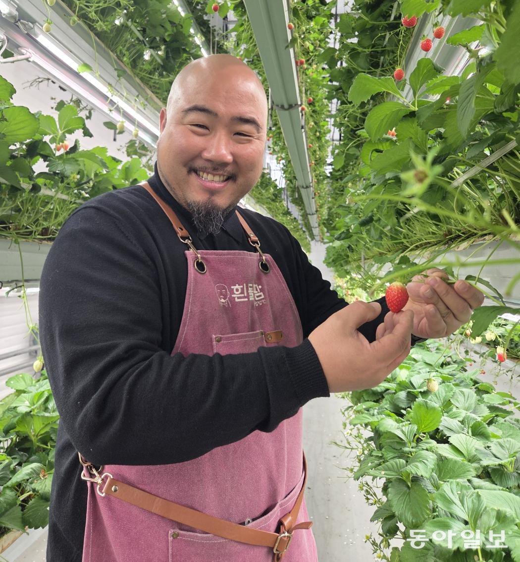 ‘딸기 농부’ 김형일 전 한국 사이클 대표팀 감독이 빨갛게 익은 딸기를 들어 보이고 있다.
이헌재 기자 uni@donga.com