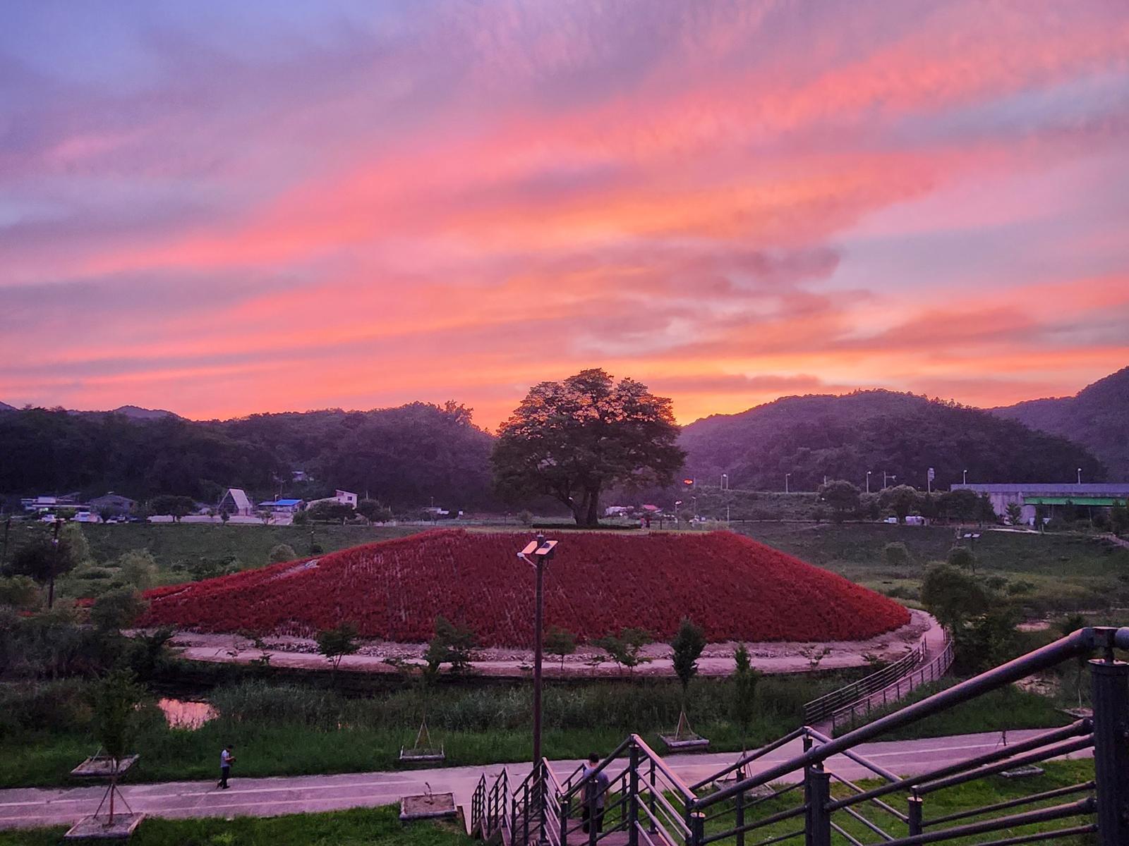 강원 영월군 청령포원 자료 사진. 재판매 및 DB금지