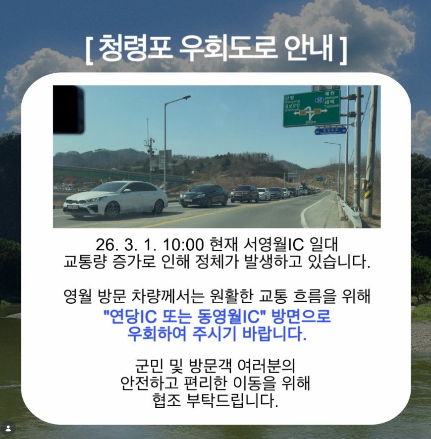영월군 SNS 갈무리