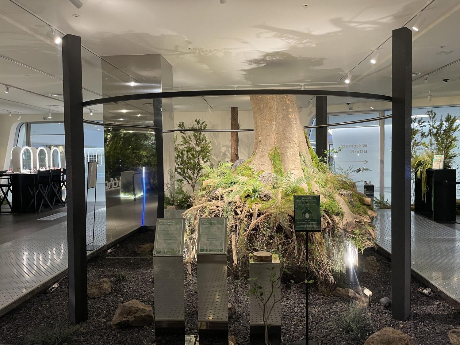 업타운 공간의 중심에 위치한 비더비의 상징 미(美)의 나무 / 출처=IT동아