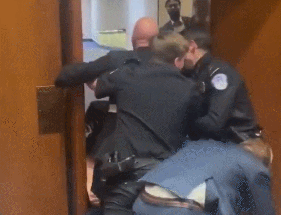 X(구 트위터) 캡처