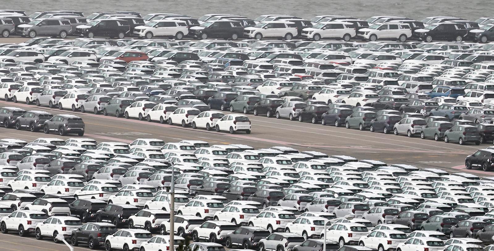 경기 평택시 포승읍 평택항에 수출용 차량이 세워진 모습. 2026.2.22 ⓒ 뉴스1