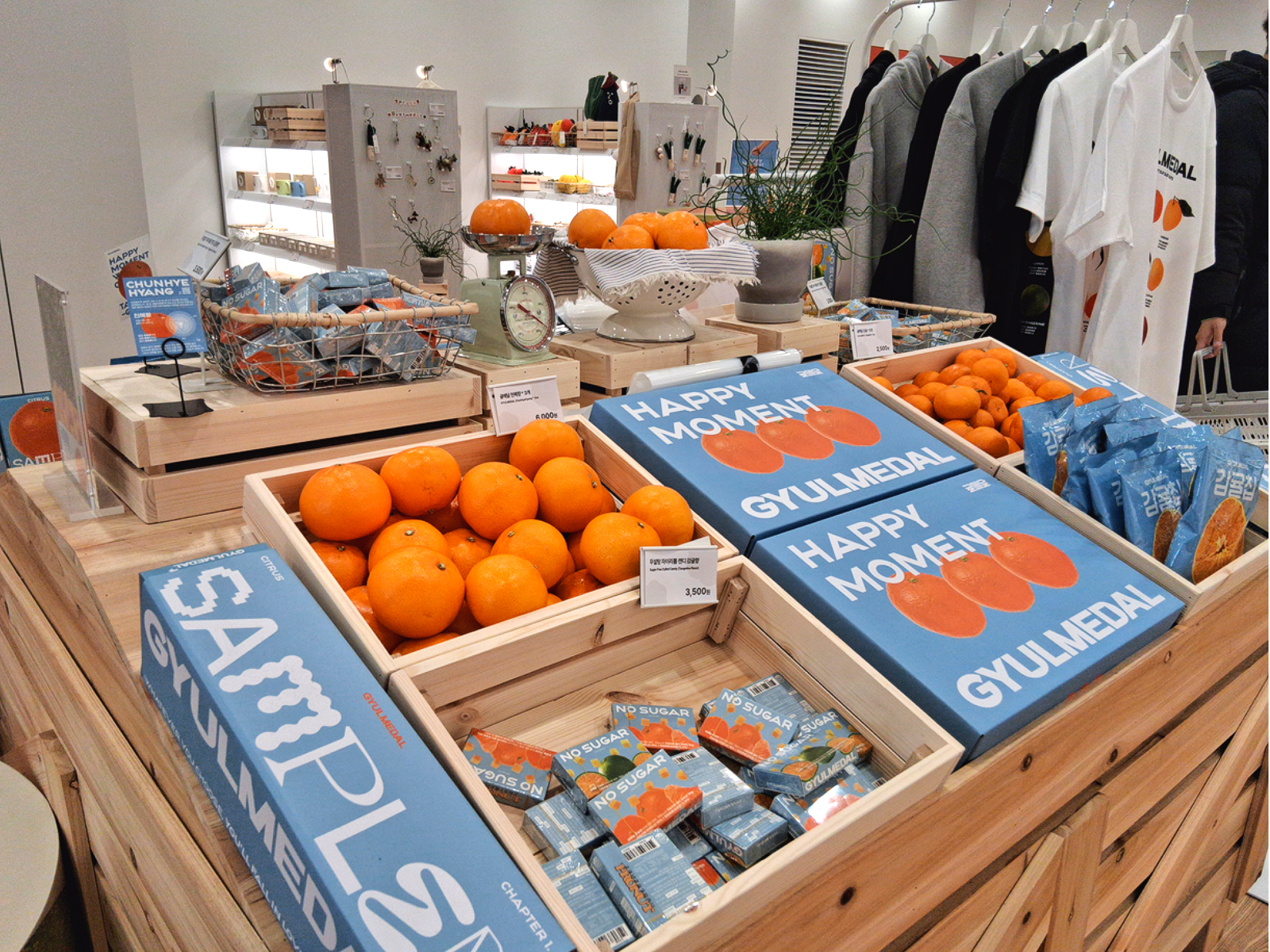 사진=최강주 기자 gamja822@donga.com