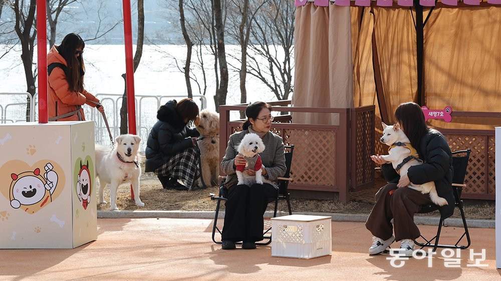 4일 서울 마포구 반려동물 캠핑장에서 시민들이 반려견들과 함께 봄을 즐기고 있다. 이곳은 반려견의 크기에 따라 공간이 분리돼 있어 목줄 없이 반려견과 시간을 보낼 수 있다. 변영욱 기자 cut@donga.com