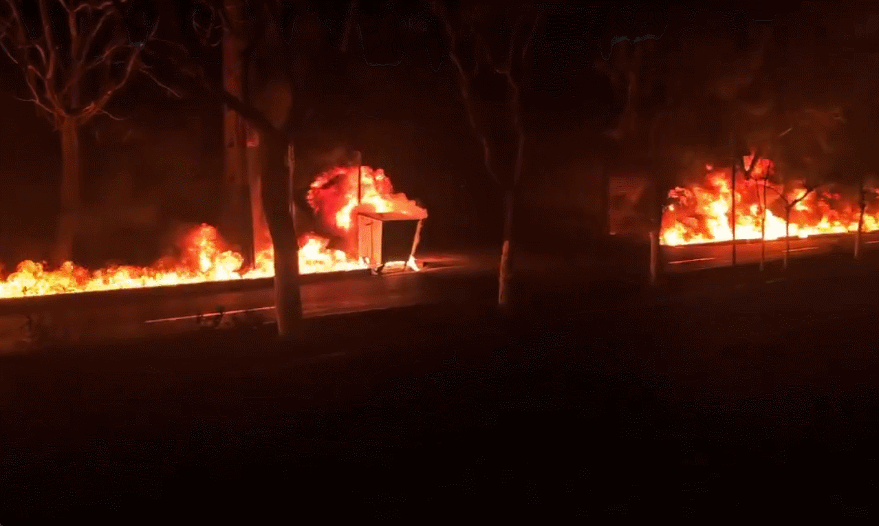 영상=엑스(X·옛 트위터)