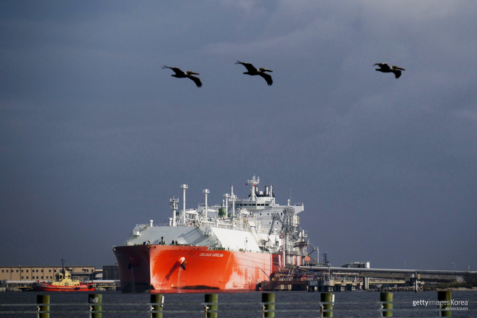미국 루이지애나주 카메론에 위치한 셰니에르 에너지의 사빈패스(Sabine Pass) LNG 수출 터미널에서 액화천연가스 운반선이 정박해 있다. 셰일가스 생산 증가와 LNG 수출 인프라 덕분에 미국은 글로벌 가스 가격 급등에도 상대적으로 안정적인 에너지 구조를 유지하고 있다는 평가가 나온다. ⓒBloomberg via Getty Images
