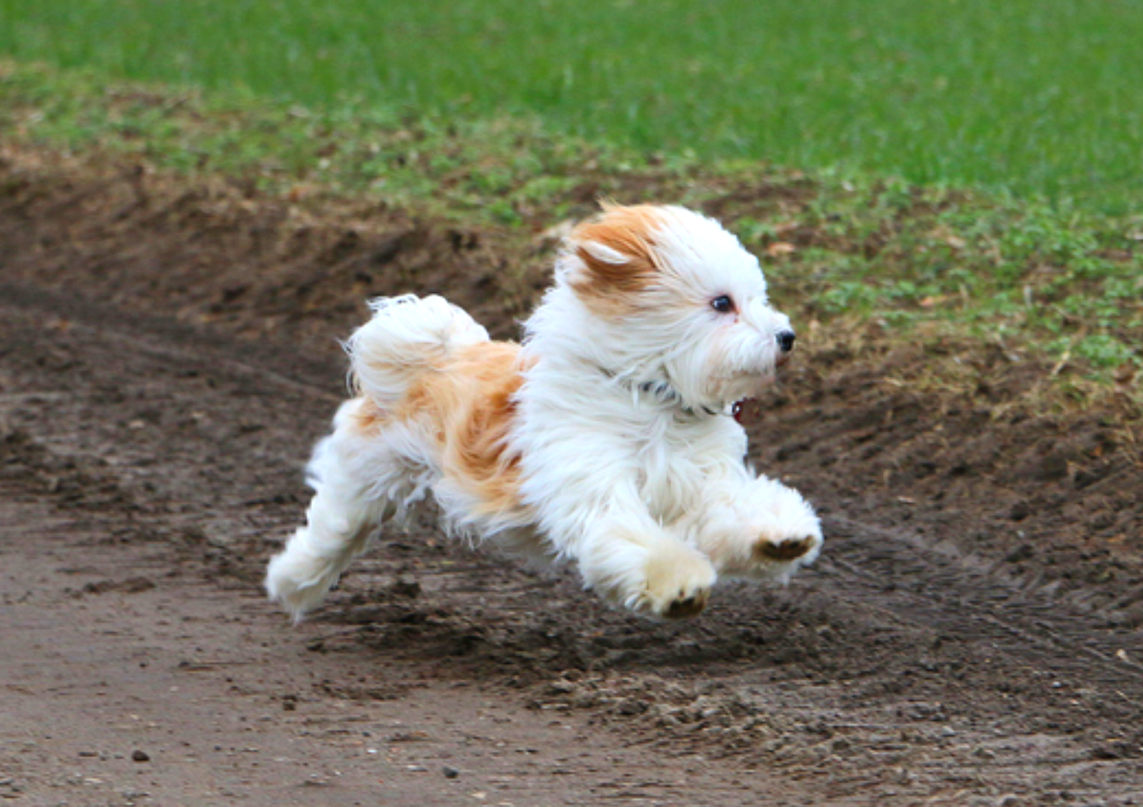 사진=게티이미지뱅크.