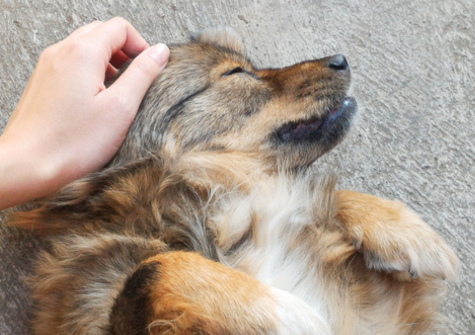 사진=게티이미지뱅크.