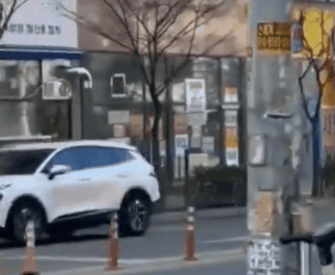 영상=인스타그램