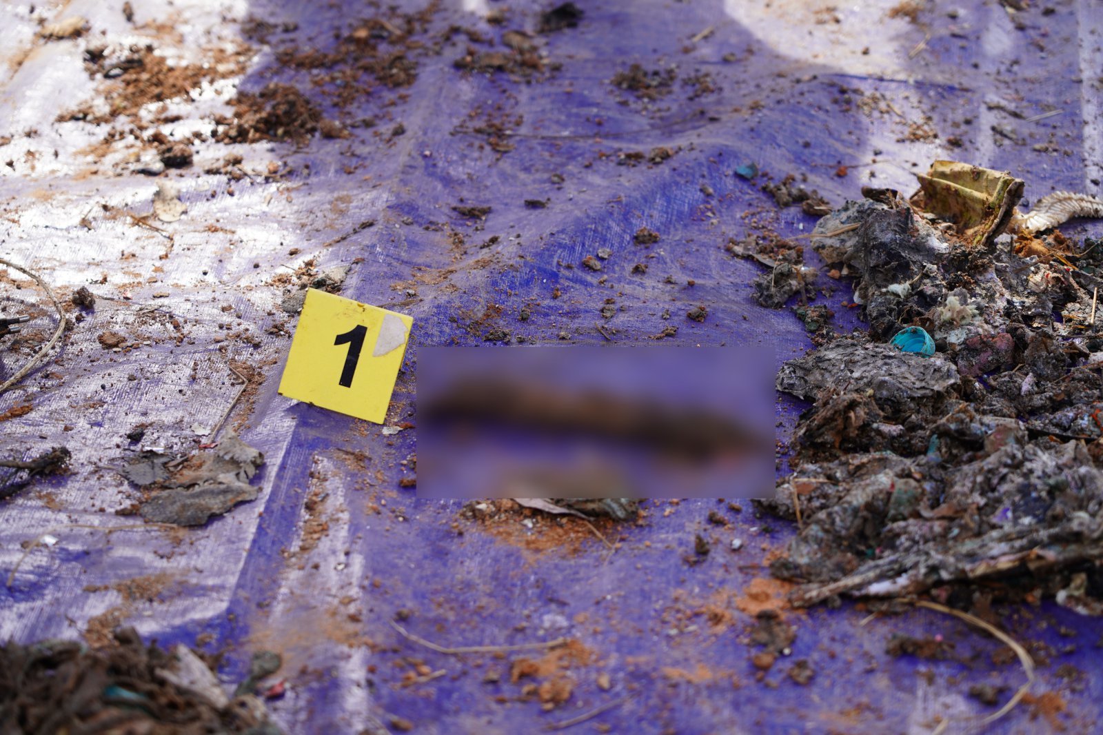 26일 국토부 항공철도사고조사위원회와 전남경찰청 등이 합동으로 진행한 제주항공 사고기 기체잔해물 재분류작업에서 인골 추정 유해가 발견된 모습.  2026.2.26 유가족협의회 제공