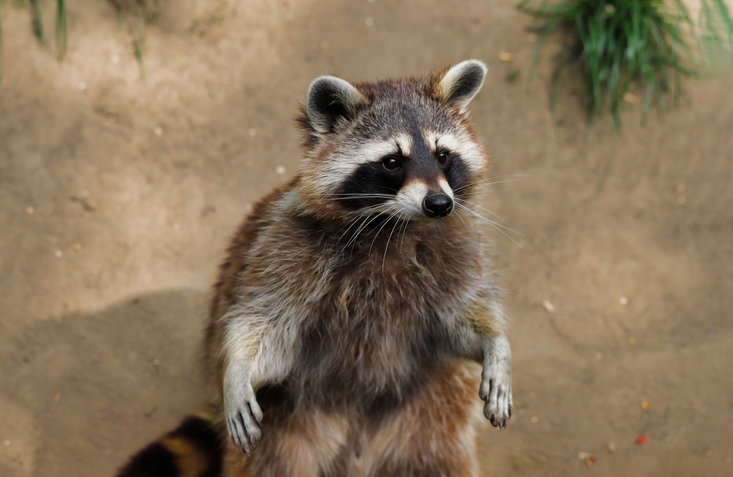 사진=게티이미지뱅크.