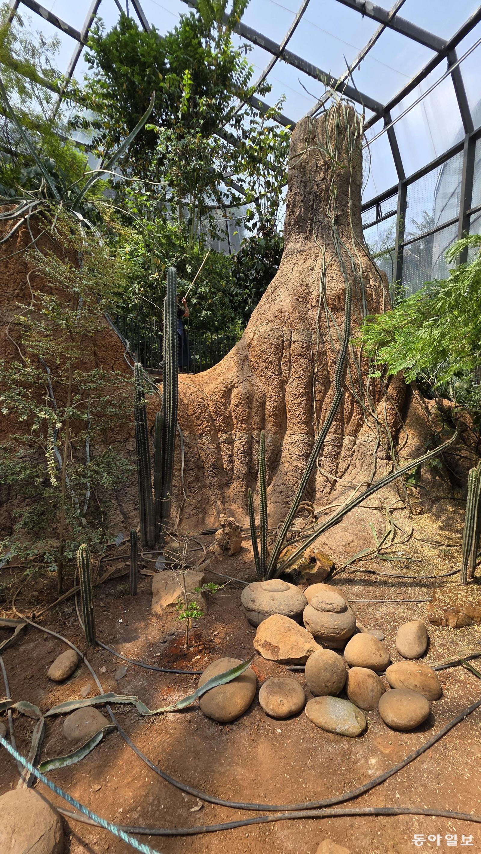 ‘엘 트로피카리오’의 건조 열대림 온실.