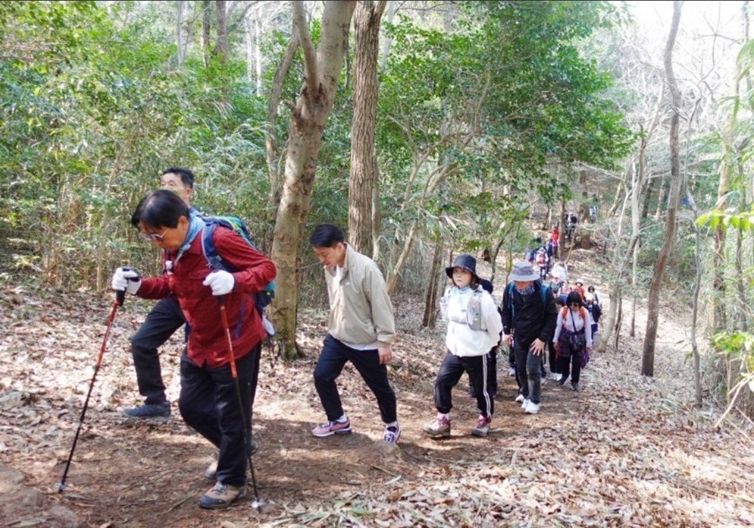 전남 해남군 달마산 자락에 조성된 달마고도. 새봄의 시작을 알리는 ‘달마고도 힐링 걷기 행사’가 28∼29일 열린다. 해남군 제공