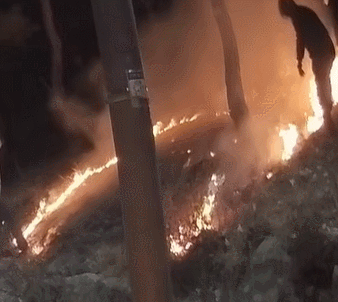 젖은 수건 등으로 화재를 진압하는 시민과 배달 기사들. 보배드림 갈무리