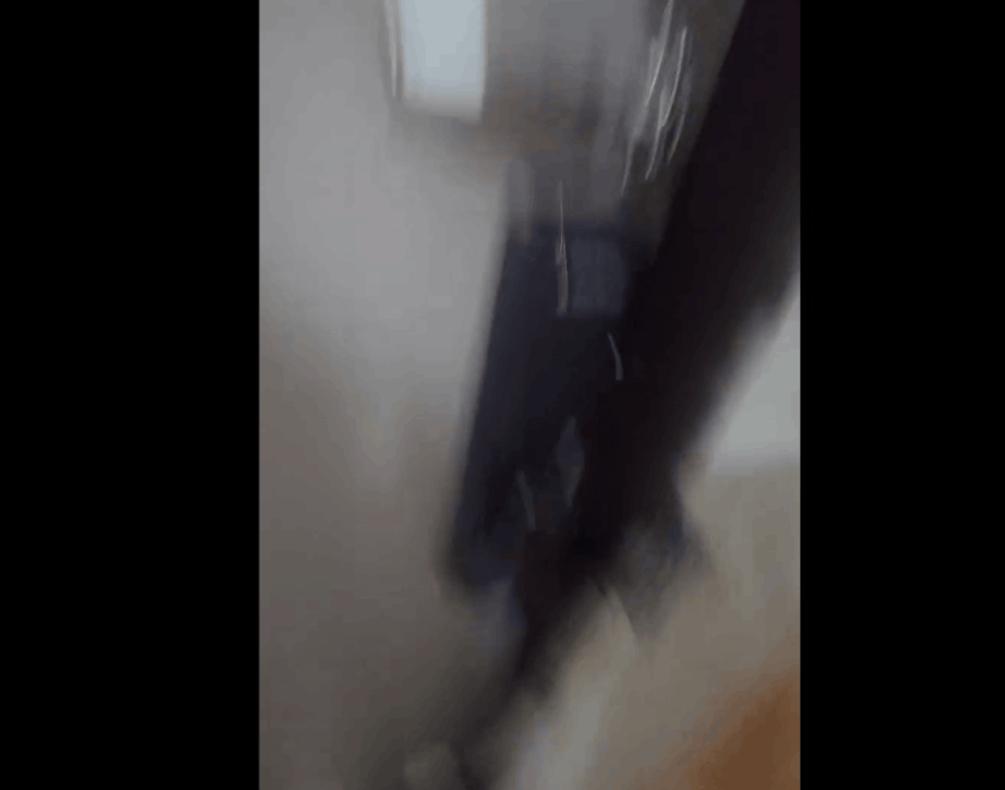 영상=스레드(@hollis_hoho)