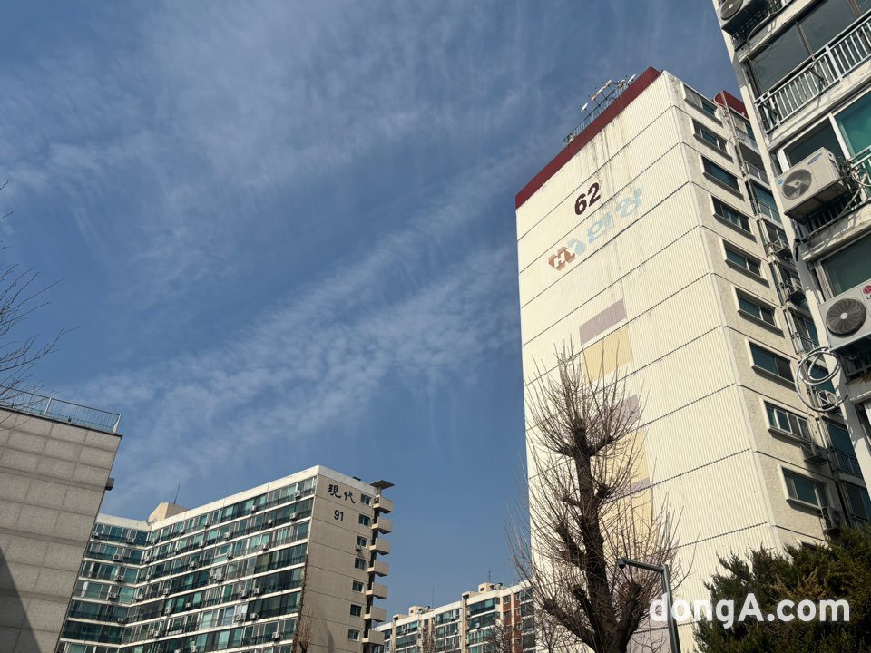 황소영 기자 fangso@donga.com