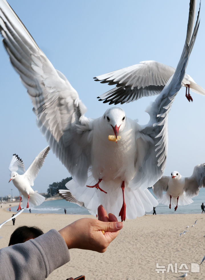 해당 사진은 기사 내용과 상관 없음. 뉴시스.