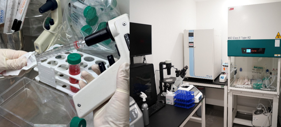 줄기세포 연구 및 배양 시설 전경