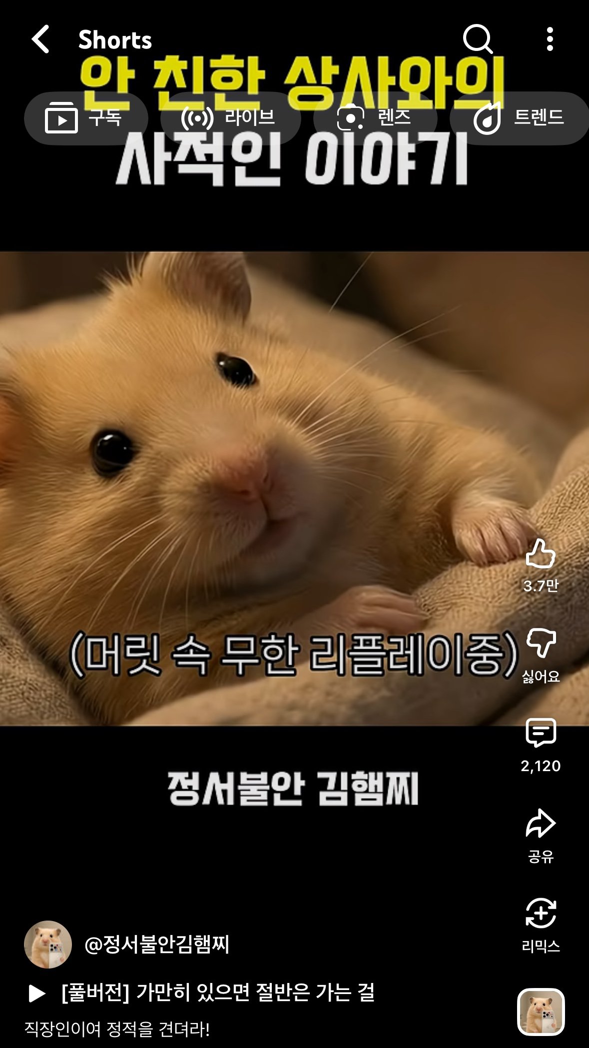 유튜브 ‘정서불안 김햄찌’ 한 장면. 유튜브 캡쳐.