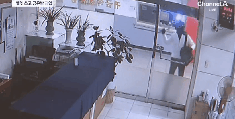 영상=채널A 보도화면