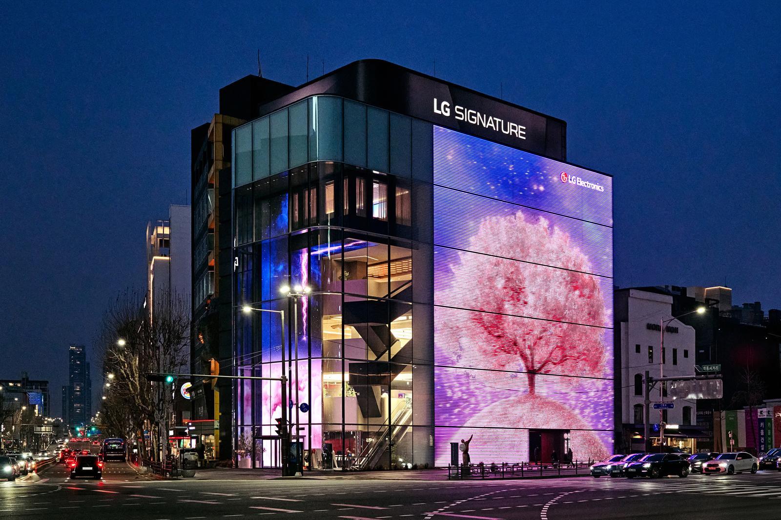 LG전자 플래그십 D5에 벚꽃이 ‘활짝’