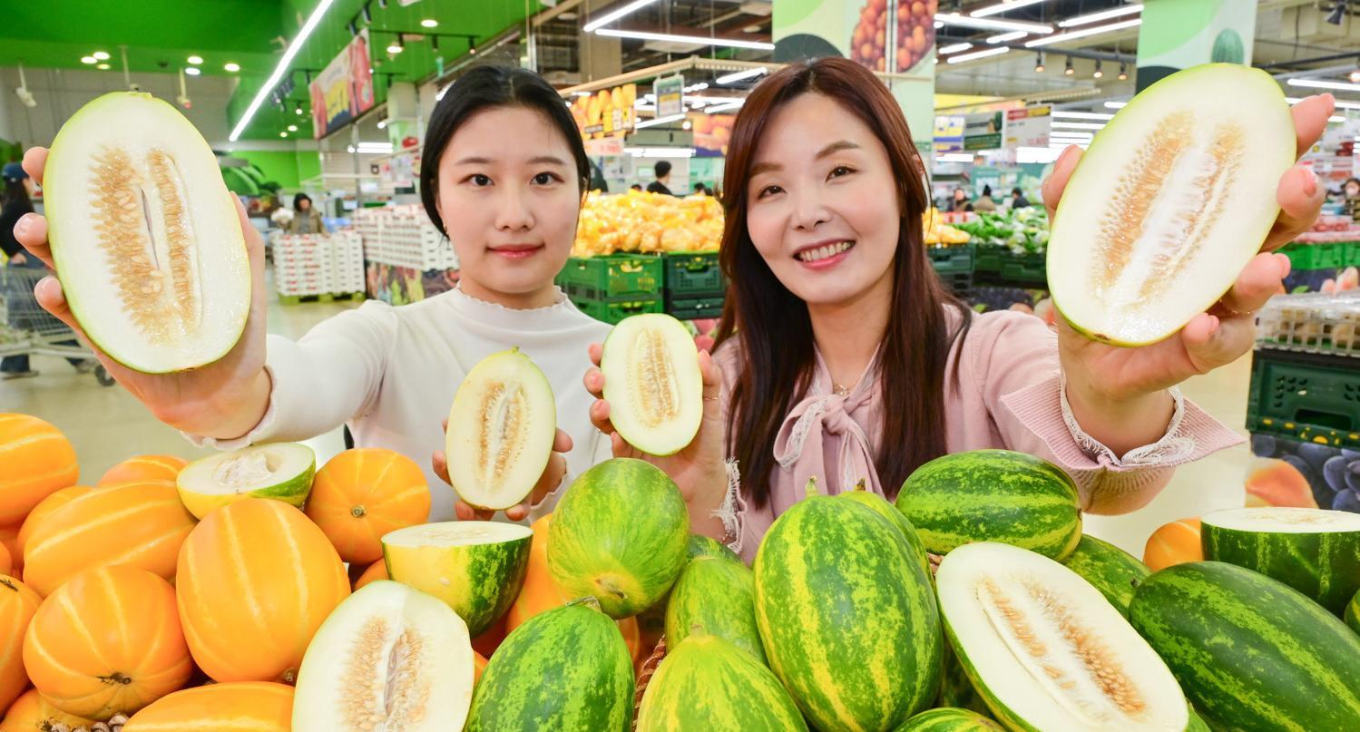 국내산 파파야 멜론 나왔어요