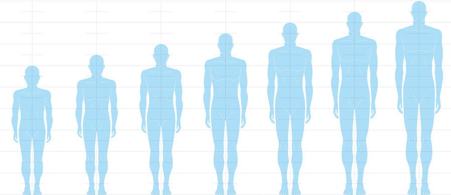 키 큰 사람 ‘이 질환’ 위험 높다…동아시아인 12만 명 유전 분석