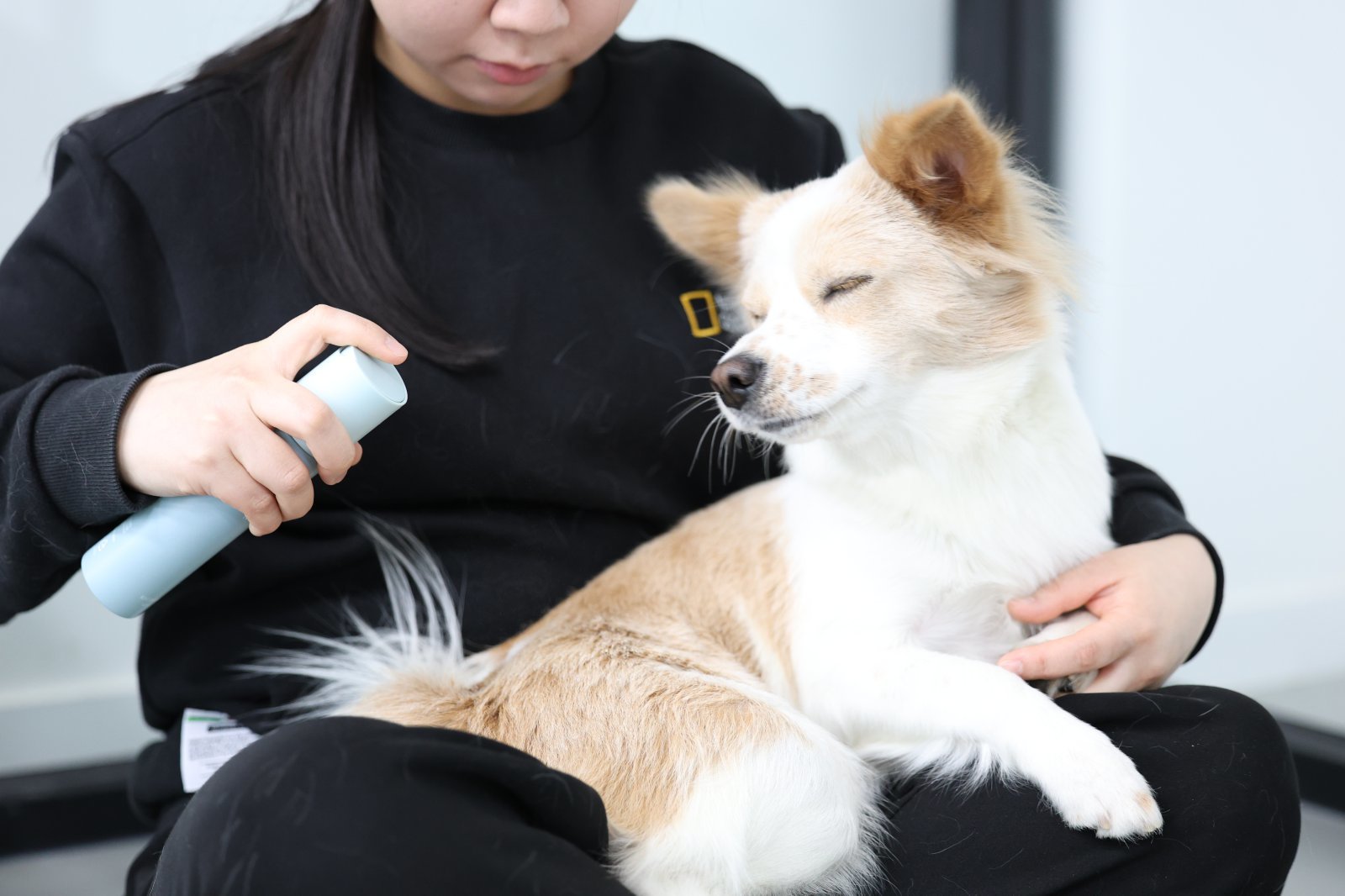 멍냥이 전용 유산균에 보습 크림… “펫팸族 잡아라” 유통가 경쟁