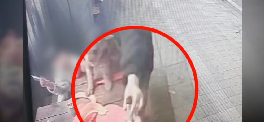 초등생 딸에 전자담배 건넨 엄마, 아동방임 혐의 입건