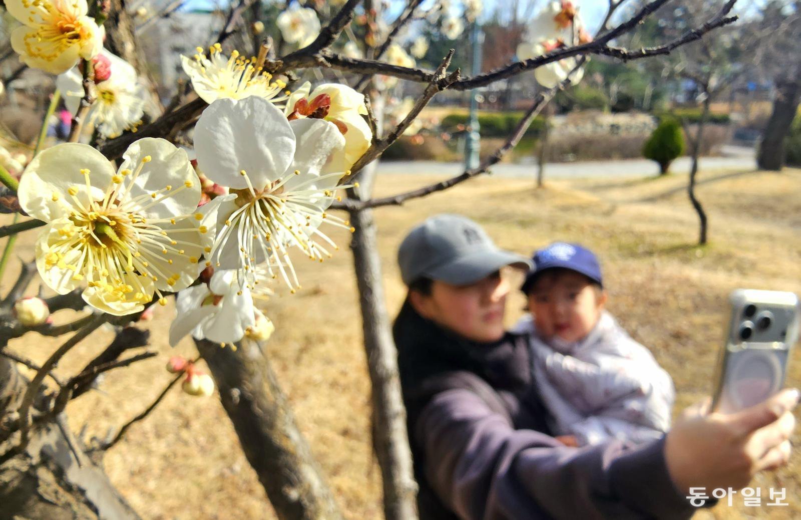 매화꽃처럼 활짝 웃어봐요