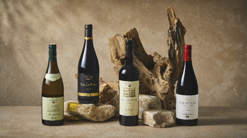 금양인터내셔날 제공