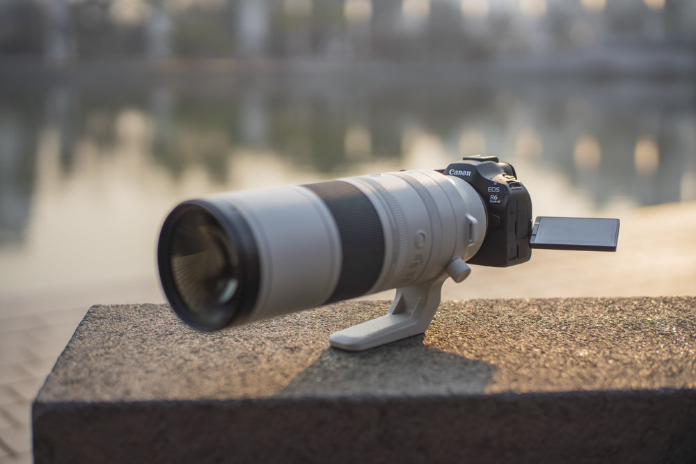 캐논 EOS R6 마크 III에 RF200-800mm F6.3-9 IS USM를 장착한 예시 / 출처=IT동아