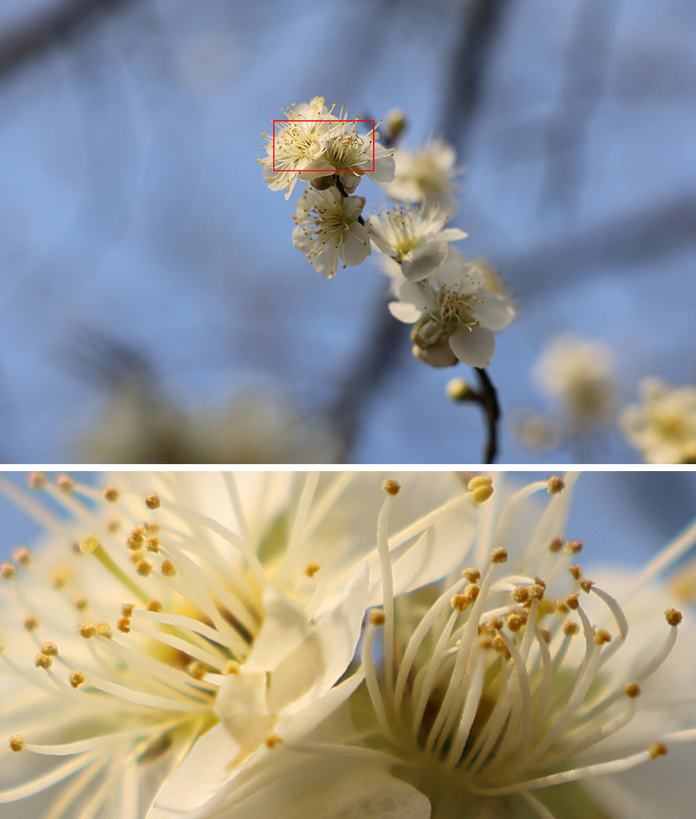 RF24-70mm F2.8 L IS USM 조합, f/4에 ISO 100, 1/1000초, 초점거리 70mm / 출처=IT동아