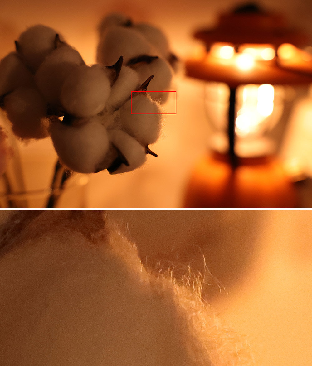 RF24-70mm F2.8 L IS USM 조합, f/4에 ISO 12800, 1/640초, 초점거리 70mm / 출처=IT동아